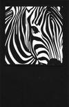 free zebra svg