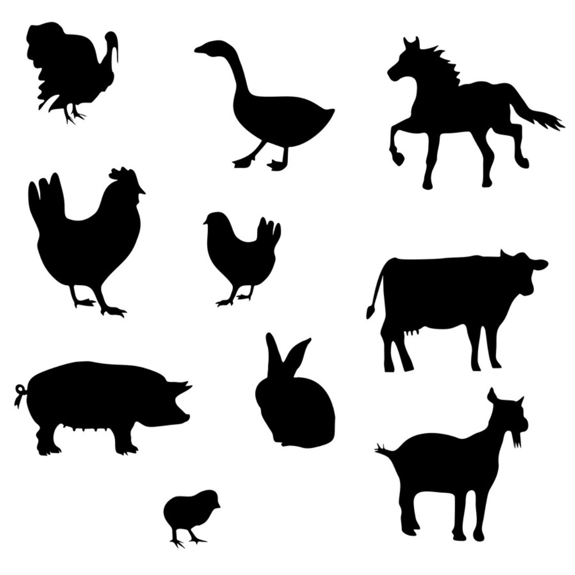 free vector images
